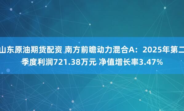 山东原油期货配资 南方前瞻动力混合A：2025年第二季度利润721.38万元 净值增长率3.47%
