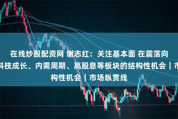 在线炒股配资网 谢志红：关注基本面 在震荡向上中把握科技成长、内需周期、高股息等板块的结构性机会｜市场纵贯线