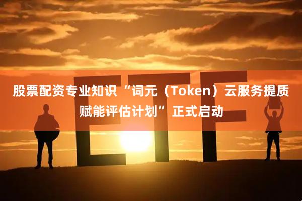 股票配资专业知识 “词元（Token）云服务提质赋能评估计划” 正式启动